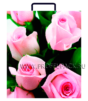 Пластиковый пакет "Розовые розы", 26х23х10 см.