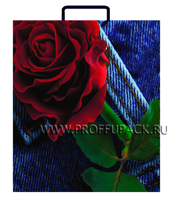 Сумочка из пластика "Красная роза", 26х23х10