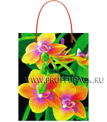 Подарочный пакет "Яркие цветы", 32х44х10